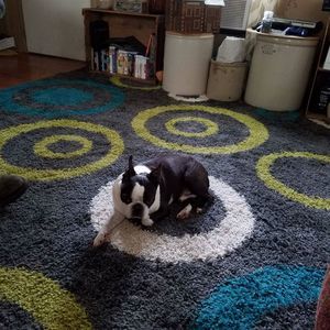 Meet your Posher, Jody